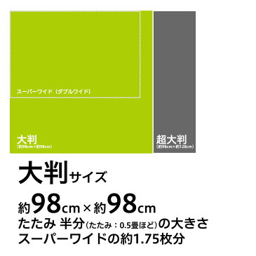 大判シーツ〜しっかり吸収タイプ 72枚(6枚×12個入) | ペットシーツ ペットシート スタイルプラス ペット シーツ トイレシート おしっこシート 犬 シート トイレ トイレシーツ 大型犬 大判 おしっこ オシッコシート 犬用 大判ペットシート 業務用 まとめ買い オシッコ