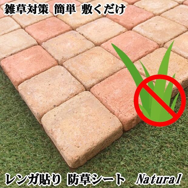 おしゃれで居心地のいい空間を作れる庭タイル 置くだけのdiyが簡単 農業 ガーデニング 園芸 家庭菜園マガジン Agri Pick