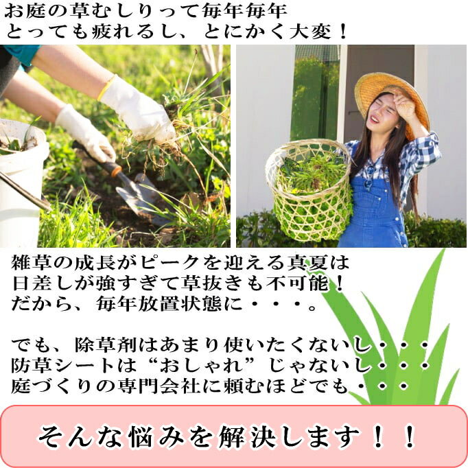 敷石人気おすすめ15選 ガーデニング レンガ おしゃれ オリジナル Ecoko