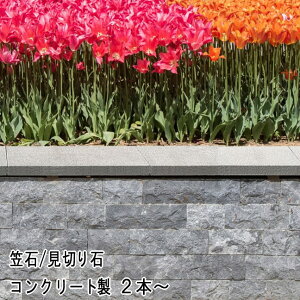 ファインボーダー グレー 395×160×40mm 3本セット コンクリート製 笠石 笠木 見切り石 見切り材 庭 見切り 仕切り 区切り 見切石 砂利 芝生 人工芝 土留め 境界 砂利止め ブロック塀 笠木ブロック ガーデニング 外構 敷石 庭用 仕切り石 ボーダー ガーデンエッジ ブロック