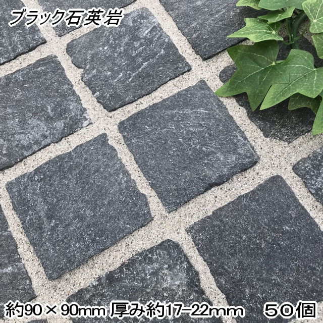 楽天市場】ピンコロ 黒の通販 楽天市場】ピンコロ 黒の通販