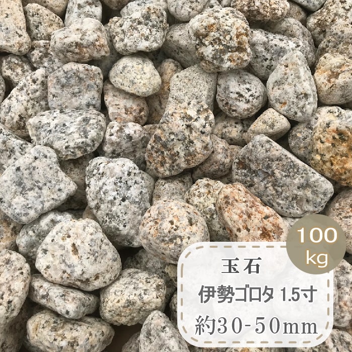 伊勢ゴロタ ゴロタ石 1.5寸 約30-50mm 100kg 大量 錆 石 サビ 庭石 伊勢ゴロタ石 庭 玉砂利 和風 天然石 大きい 伊勢 五郎太 丸 石 マルチング ストーン 花崗岩 御影石 造園 日本庭園 ガーデニング ドライガーデン 園芸 砂利 玉石 大きめ 種類 国産 日本産 錆石 さび石