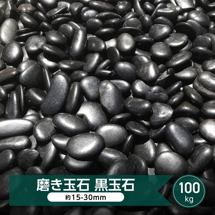 玉砂利 磨き 砂利 黒玉石 光沢 玉石 黒 中粒 約15-30mm 100kg 大量 黒玉砂利 艶 高級 和風 庭 和風砂利 黒石 丸 玉石黒 那智石風 磨き砂利 庭の砂利 那智黒石風 庭石 庭用 庭園 日本庭園 和風庭園 モダン 和モダン 庭石黒 丸い 庭砂利 化粧砂利 ブラック 黒庭石 敷く 敷石