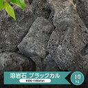 溶岩石 庭石 黒 溶岩 石 ロックガー