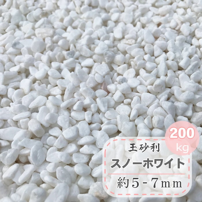 玉砂利 白 白玉砂利 小 砂利 庭 化粧砂利 白い 小粒 スノーホワイト 約5-7mm 200kg 大量 細かい 2分 大理石 マーブル 白砂利 小さい 小さめ 白玉石 玉石 目地砂利 庭石 ガーデニング ジャリ 石 白色 石材 和風 洋風 おしゃれ まっ白 マルチング ストーン