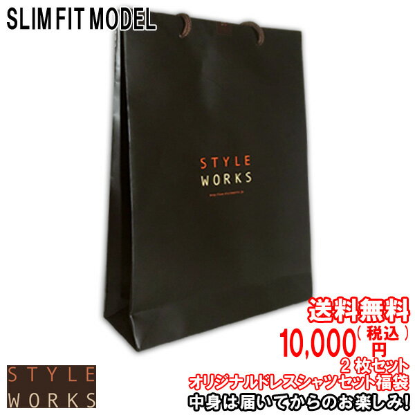 中身は届いてからのお楽しみ！国産 長袖 スリムフィット2枚組みセット 送料無料10,000円！S・M・L・LL fs3gm 福袋 服袋 ドレスシャツ ワイシャツ メンズ 24FA