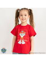 【SALE/10%OFF】branshes 【PAW PATOROL(パウ・パトロール)】キャラクタープリント半袖Tシャツ ブランシェス トップス カットソー・Tシャツ ピンク レッド イエロー ブルー【RBA_E】