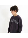 NAUTICA 【NAUTICA/ノーティカ】ロゴアップリケ長袖Tシャツ ブランシェス トップス カットソー・Tシャツ グレー ホワイト ベージュ ネイビー グリーン レッド