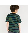 branshes 【WEB限定/DRC/綿100%】マルチボーダー半袖Tシャツ ブランシェス トップス カットソー・Tシャツ レッド グリーン ブラウン パープ...