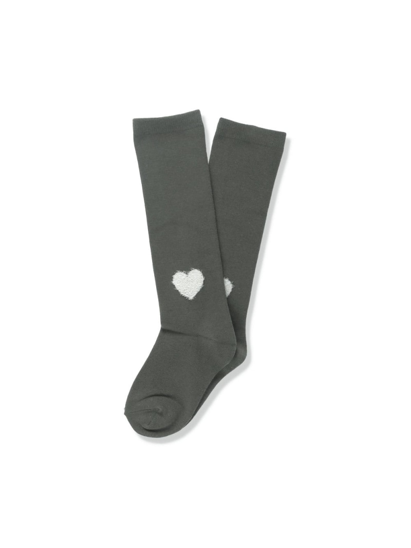 branshes ݥȥϥå ֥󥷥 å  졼 ѡץ