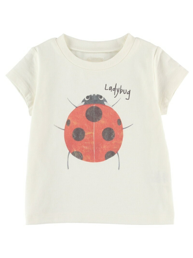 Insect Collection (K)てんとうむしプリントTシャツ キッズ インセクトコレクション トップス その他のトップス ホワイトのサムネイル