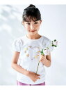 BeBe クロンドフルール天竺フリルパフスリーブTシャツ(90~150cm) ベベ オンライン ストア トップス カットソー・Tシャツ ピンク ホワイト【送料無料】