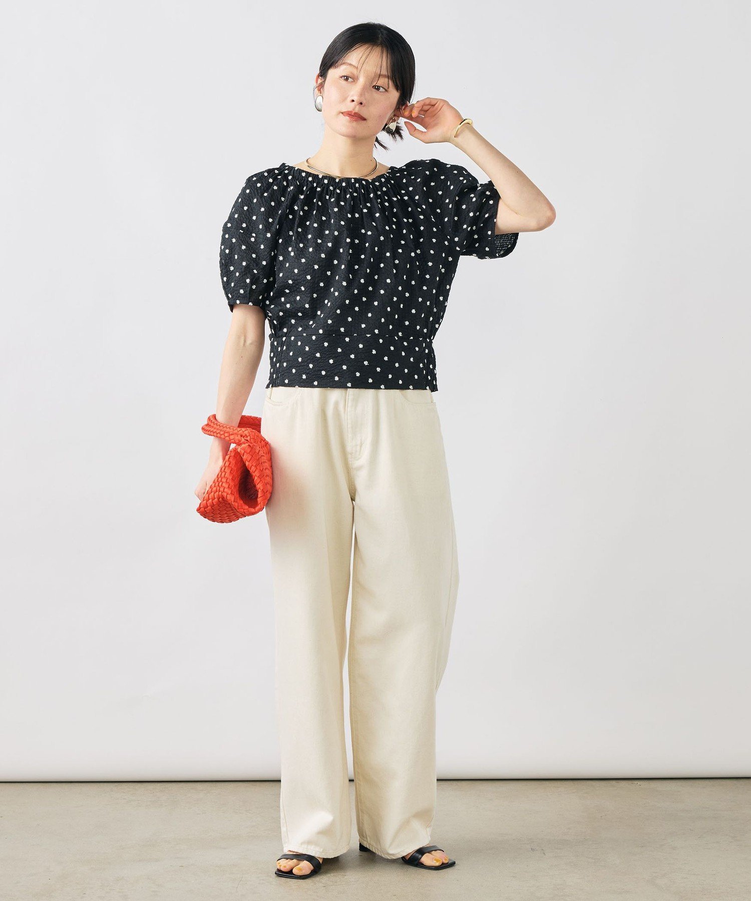 NOLLEY'S 【WEB&一部店舗限定アイテム】ウォッシャブルレース刺繍袖ボリュームサッカーブラウス ノーリーズ トップス シャツ・ブラウス ブラック【送料無料】