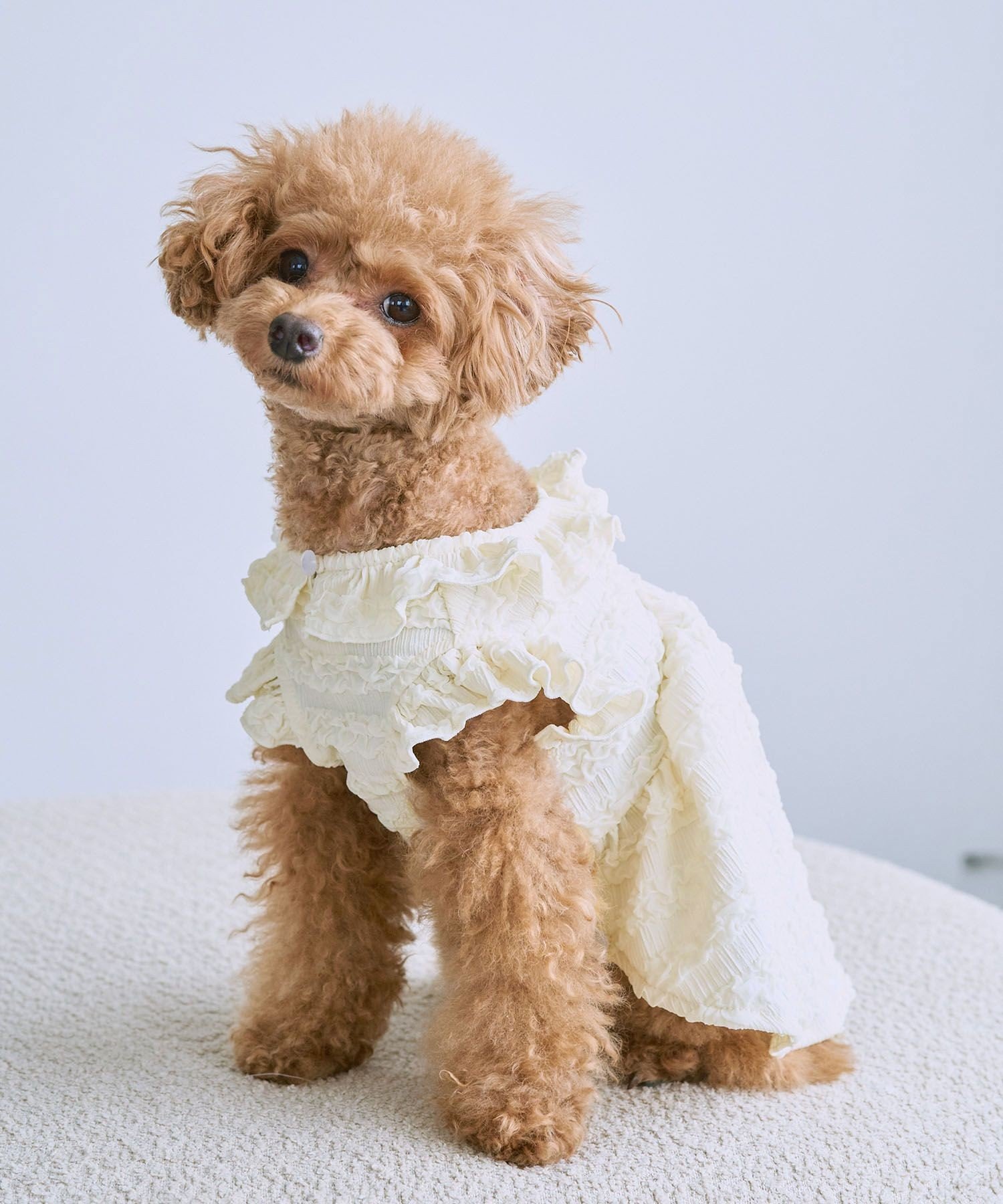 【SALE／60%OFF】ROPE' PICNIC PASSAGE 【DOG】フリルワンピース ロペピクニック ペット用品 ペットウェア・ペット服 ホワイト stylife-14966802 Rakuten Fashion サンプル画像3