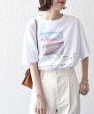 SHIPS WOMEN 《一部追加予約》* オーガニックコットン フォト ショート スリーブ TEE 24SS ◆ シップス トップス カットソー・Tシャツ ホワイト ベージュ カーキ ブラウン