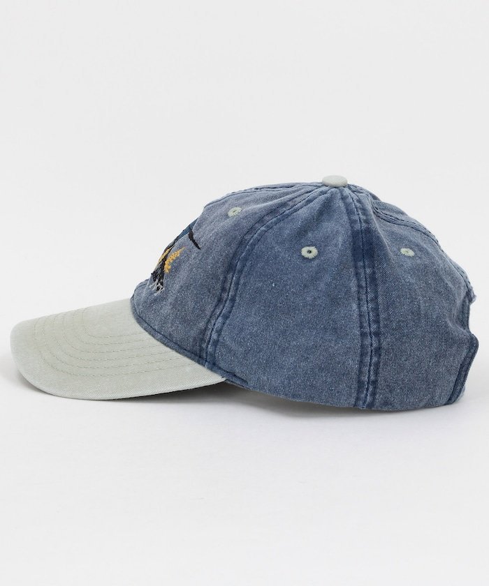 【SALE／31%OFF】AMERICAN LOCAL SOUVENIR Baseball Cap from Lake George NY フリ...