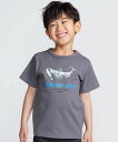 BeBe 【 速乾 】【神戸須磨シーワールド*BeBe】シャチ・イルカ 図鑑風半袖Tシャツ(80~140cm) ベベ オンライン ストア トップス カットソー・...