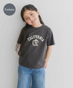 URBAN RESEARCH DOORS 『別注』Champion*DOORS BULLDOG Tシャツ(KIDS) アーバンリサーチドアーズ トップス その他...