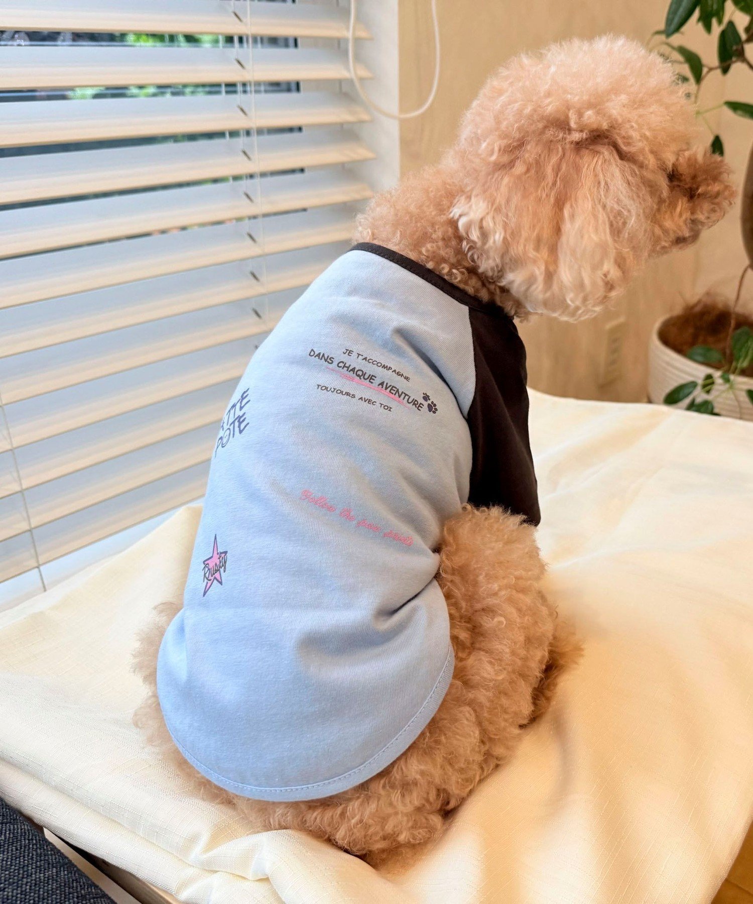 【FR PETS】メッセージ配色Tシャツ フレディ アンド グロスター トップス カットソー・Tシャツ ブルー ピンク