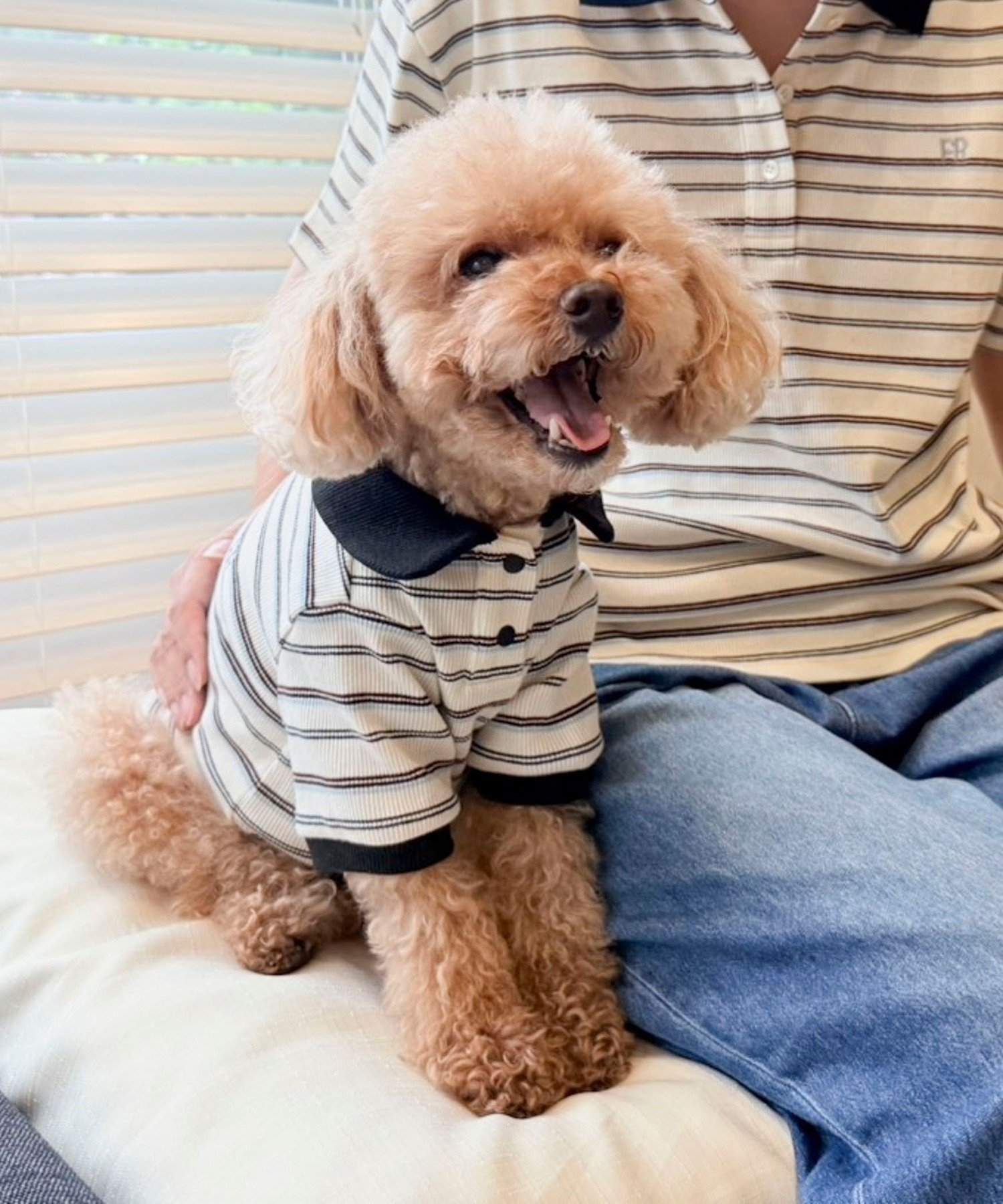 楽天市場】FR（Tシャツ・カットソー｜トップス）：レディース