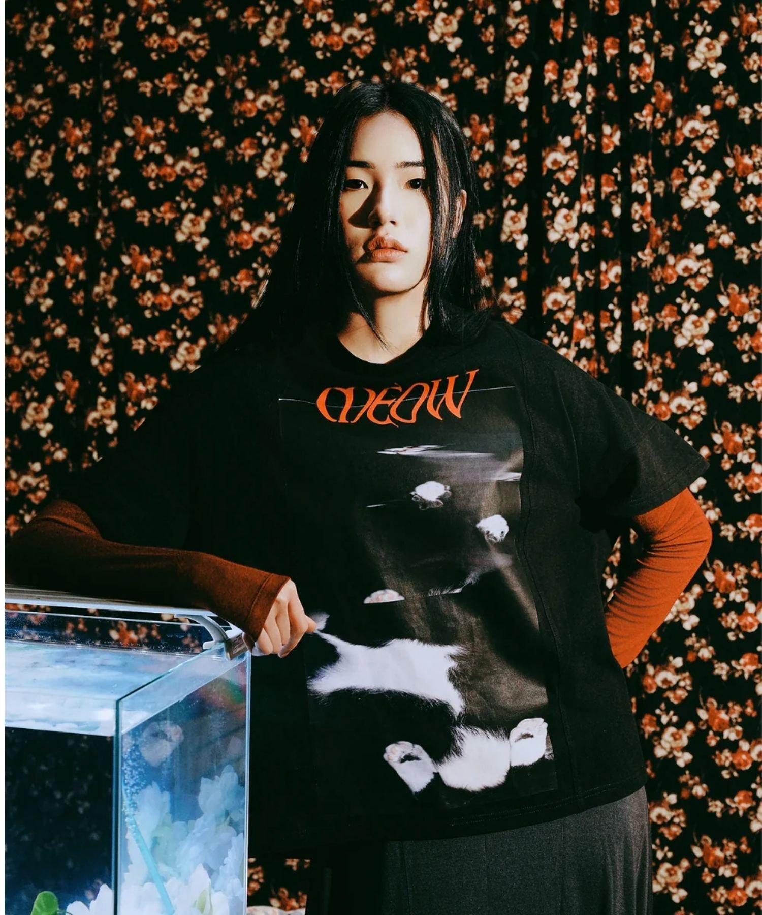 ACCEPTANCE LETTER Meow T-ShirtåߥT 㡼ޡå ȥåץ åȥT ֥å̵