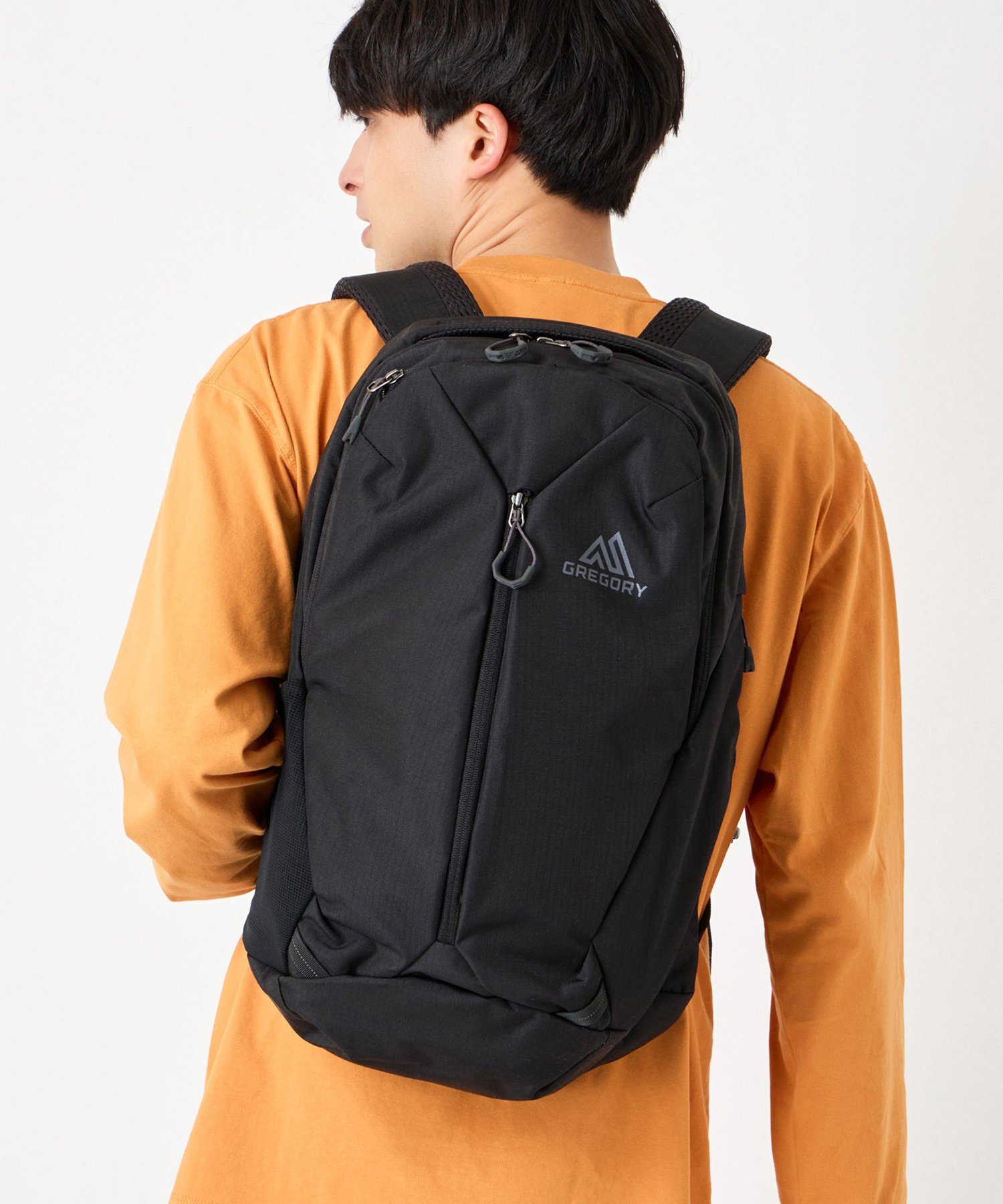 GREGORY 【公式】GREGORY ルーヌ20 20L リュック バックパック グレゴリー バッグ リュック・バックパック ブラック【送料無料】