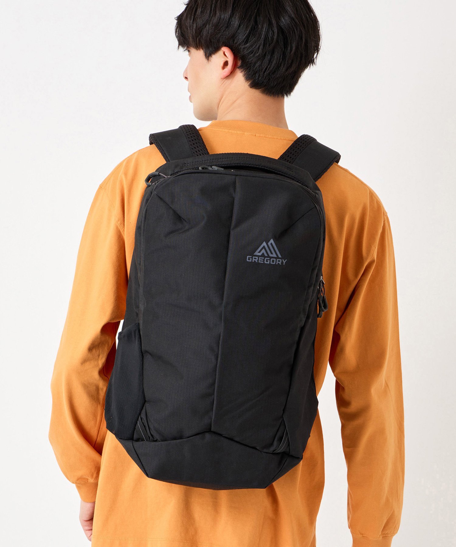 GREGORY 【公式】GREGORY ルーヌ22 22L リュック バックパック グレゴリー バッグ リュック・バックパック ブラック【送料無料】