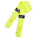 【SALE/30%OFF】PUMA メンズ マンチェスター シティFC 2024-25 グラフィック レプリカ ソックス プーマ スポーツ・アウトドア用品 その他のスポーツ・アウトドア用品 イエロー