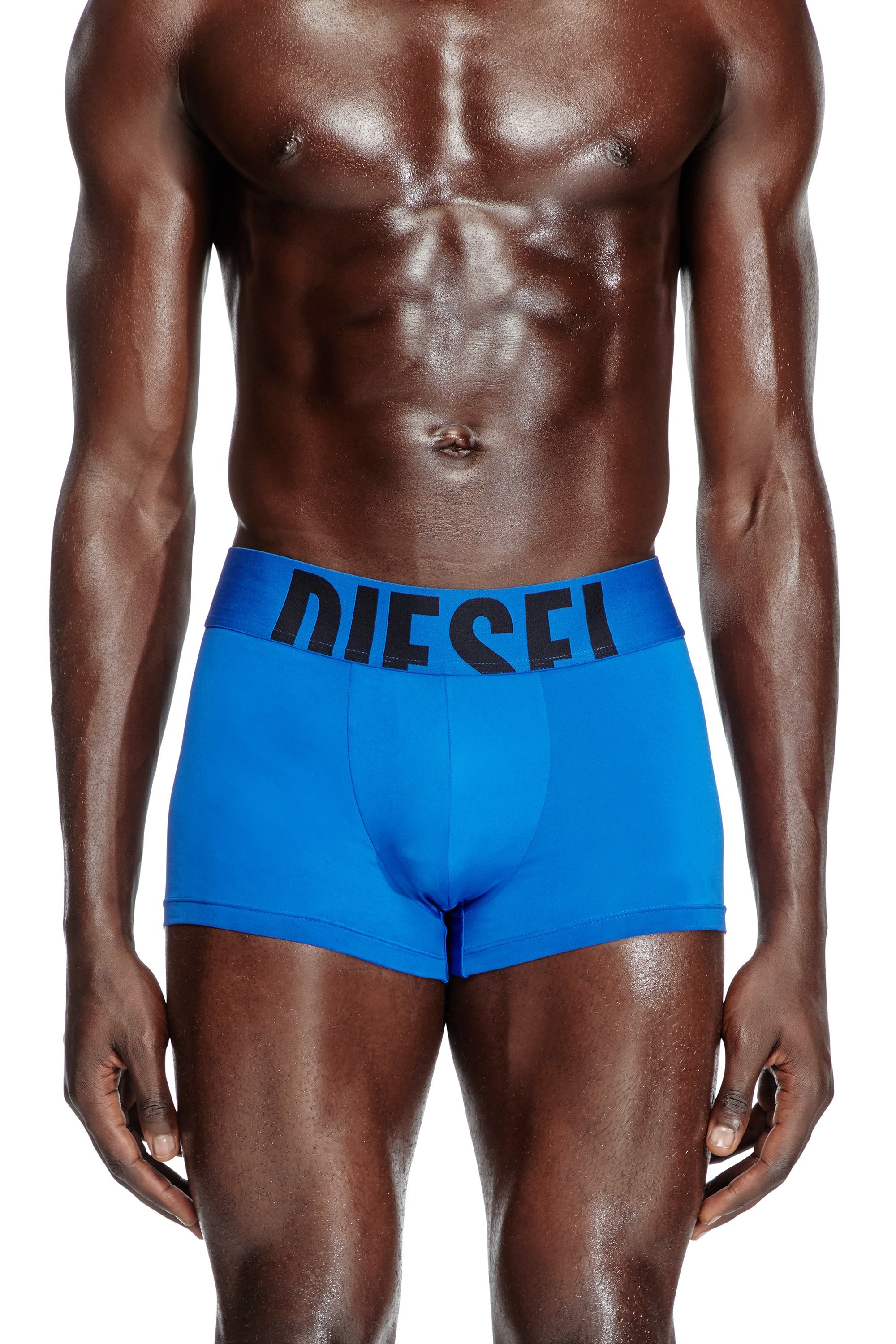 【DIESEL】 水着(ボクサーパンツ)(送料込み) 楽天市場】DIESEL ボクサーパンツ(カラーブルー)(インナー