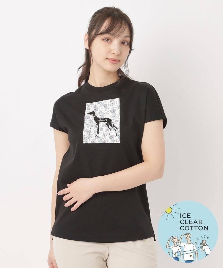 接触冷感/抗菌防臭/消臭 アイスクリアコットンチュニックT アダバット トップス カットソー・Tシャツ ホワイト ネイビー ブラック