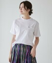 アーノルドパーマータイムレス 服 メンズ Arnold Palmer APクラシック シェア半袖Tシャツ アーノルド パーマー トップス カットソー・Tシャツ ホワイト ブラック レッド ベージュ イエロー グリーン ネイビー