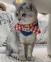 aimoha home aimoha home/ギンガムチェックリボン付きペットスカーフ アイモハ ペット用品 その他のペット用品 ネイビー
