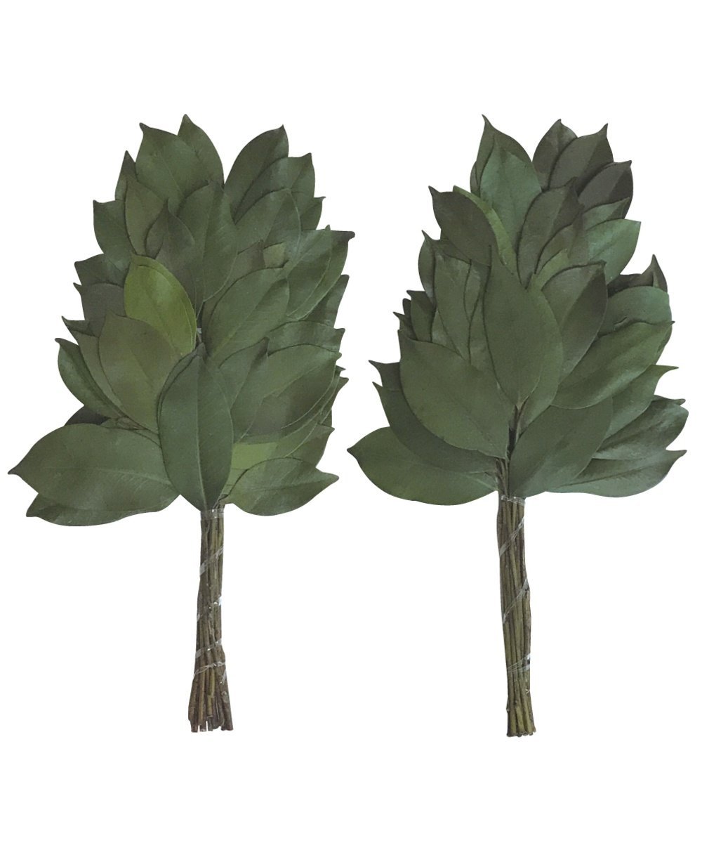 BACKYARD FAMILY プリザーブド榊 32cm 一対 ローラ インテリア・生活雑貨 その他のインテリア・生活雑貨