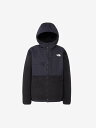 THE NORTH FACE デナリフーディ(メンズ) ザ・ノース・フェイス トップス その他のトップス グレー ブラック【送料無料】