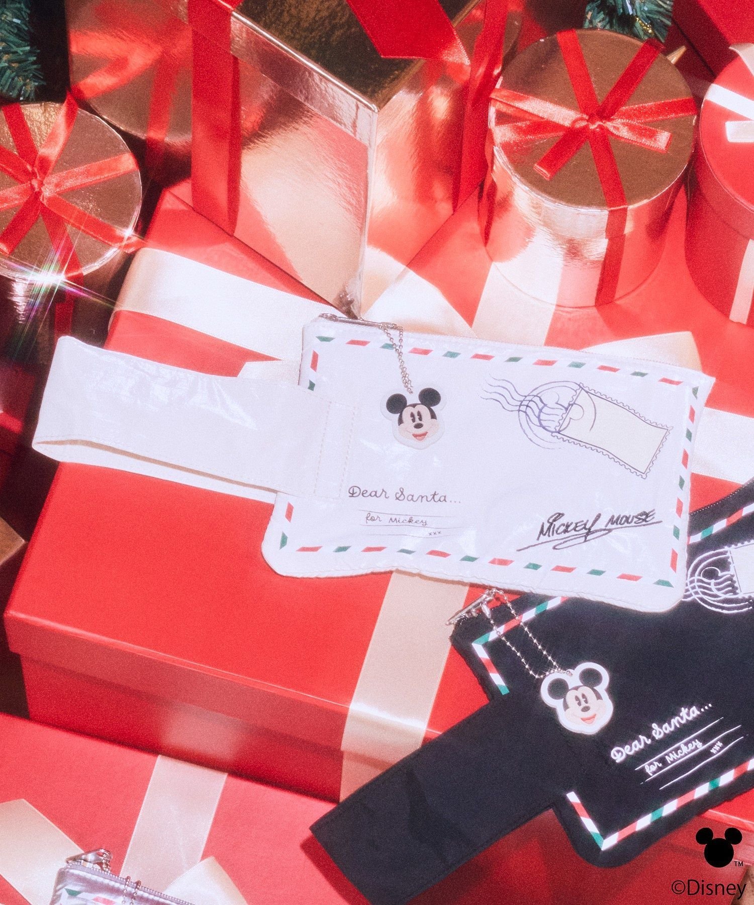 earth music&ecology 【予約】Disney/ミッキーチャーム付きレターモチーフポーチ アースミュージック&エコロジー 財布・ポーチ・ケース ポーチ ホワイト ブラック シルバーのサムネイル