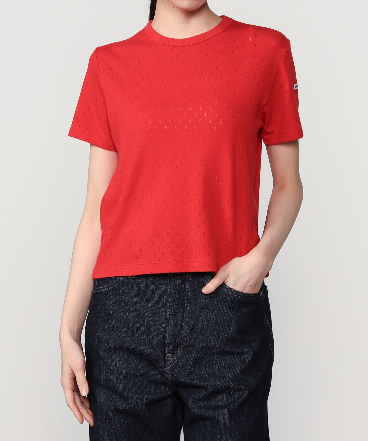 Bshop ORCIVAL ｜ パターンメッシュ クルーネックTシャツ WOMEN ビショップ トップス カットソー・Tシャツ ブラック ホワイト レッド