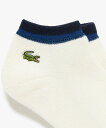 ラコステ 靴下 レディース LACOSTE 配色リブニットパイル地アンクルソックス(22cm-24cm) ラコステ 靴下・レッグウェア 靴下 ホワイト ネイビー