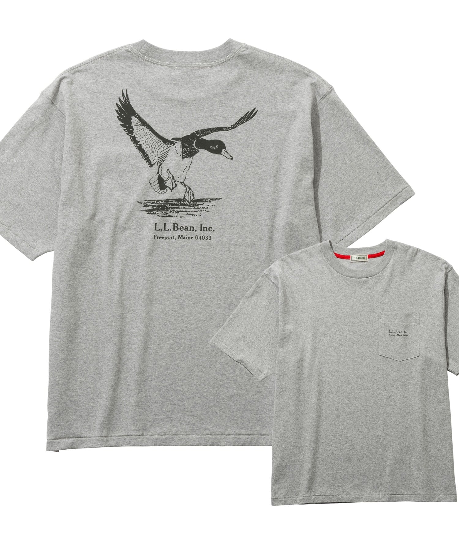 【JAPAN EDITION】モリル・ショートスリーブ・アニマル・グラフィック・ティ エルエルビーン トップス カットソー・Tシャツ ホワイト グレー