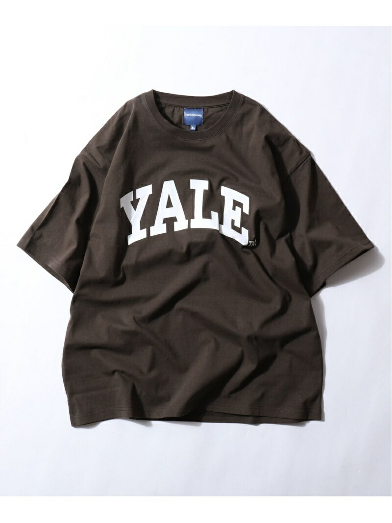 ZIP FIVE YALE/BIGシルエットTシャツ ジップファイブ トップス カットソー Tシャツ ブラウン ネイビー ホワイト グレー ベージュ