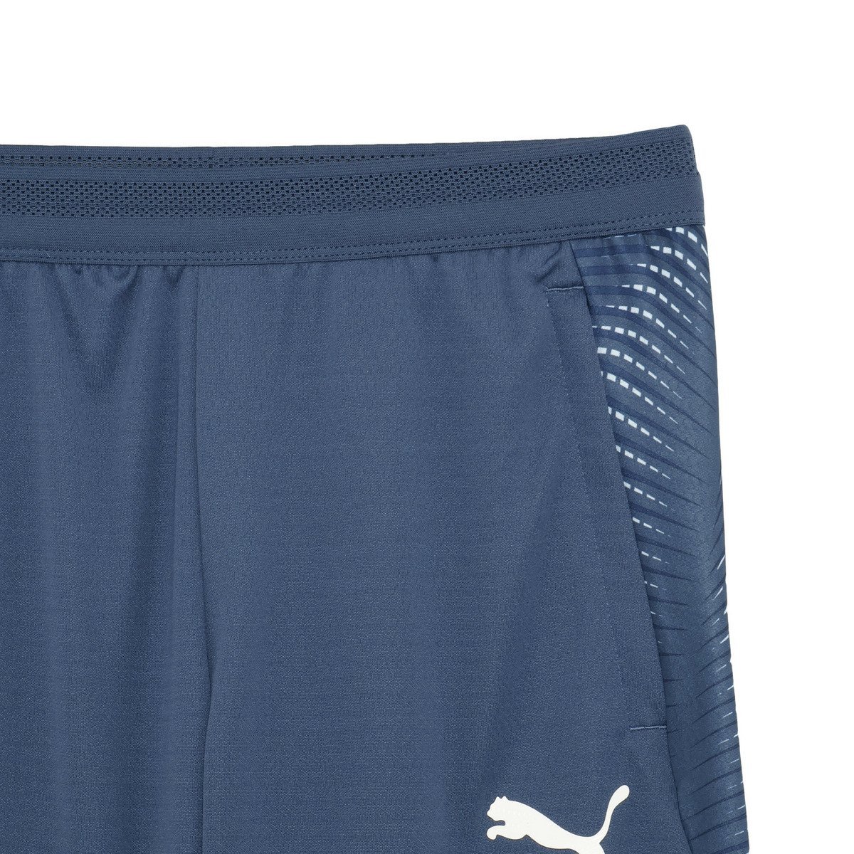 メンズ サッカー INDIVIFINAL TR パンツ individualFINAL TRG Pants プーマ パンツ ジャージ・スウェットパンツ ブルー