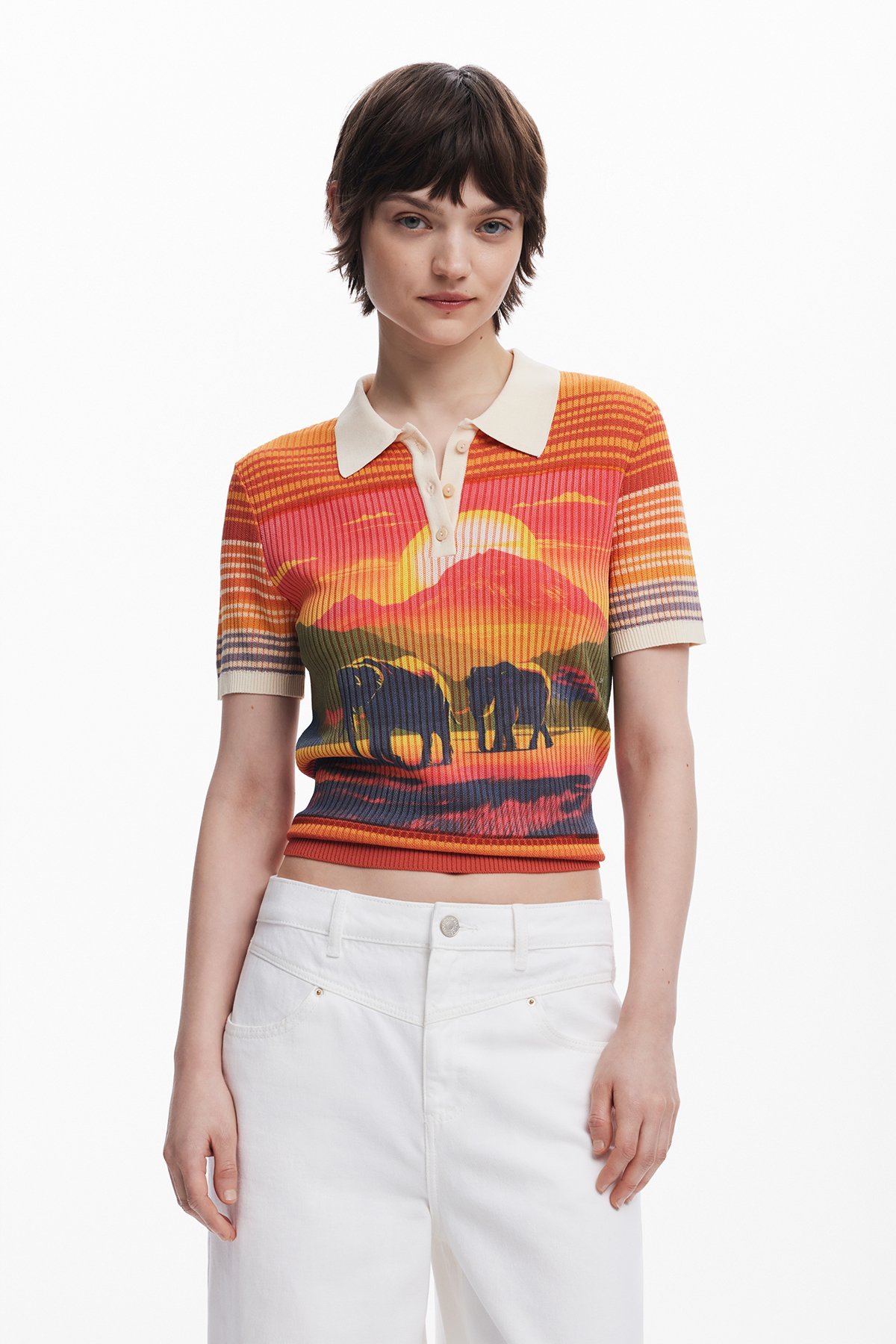 Desigual 象柄のTシャツ デシグアル トップス カットソー・Tシャツ【送料無料】のサムネイル