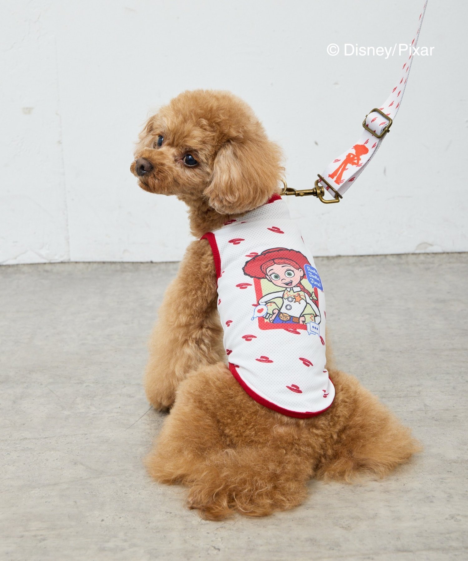 CIAOPANIC TYPY 【KIDS】【TOY STORY】ストレッチメッシュDOGウェア チャオパニックティピー 福袋・ギフト・その他 その他 レッド イエロー グリーン【送料無料】