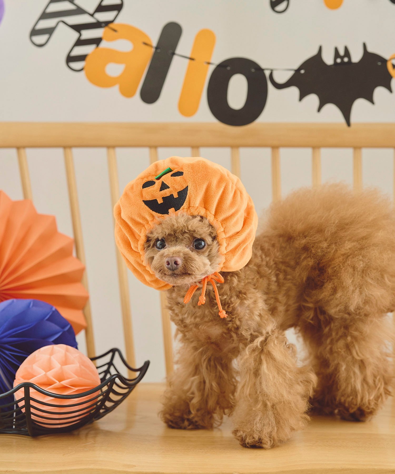 ROPE' PICNIC PASSAGE 【DOG】ハロウィンかぼちゃ ロペピクニック ペット用品 ペットウェア・ペット服 オレンジ stylife-14670245 Rakuten Fashion サンプル画像2
