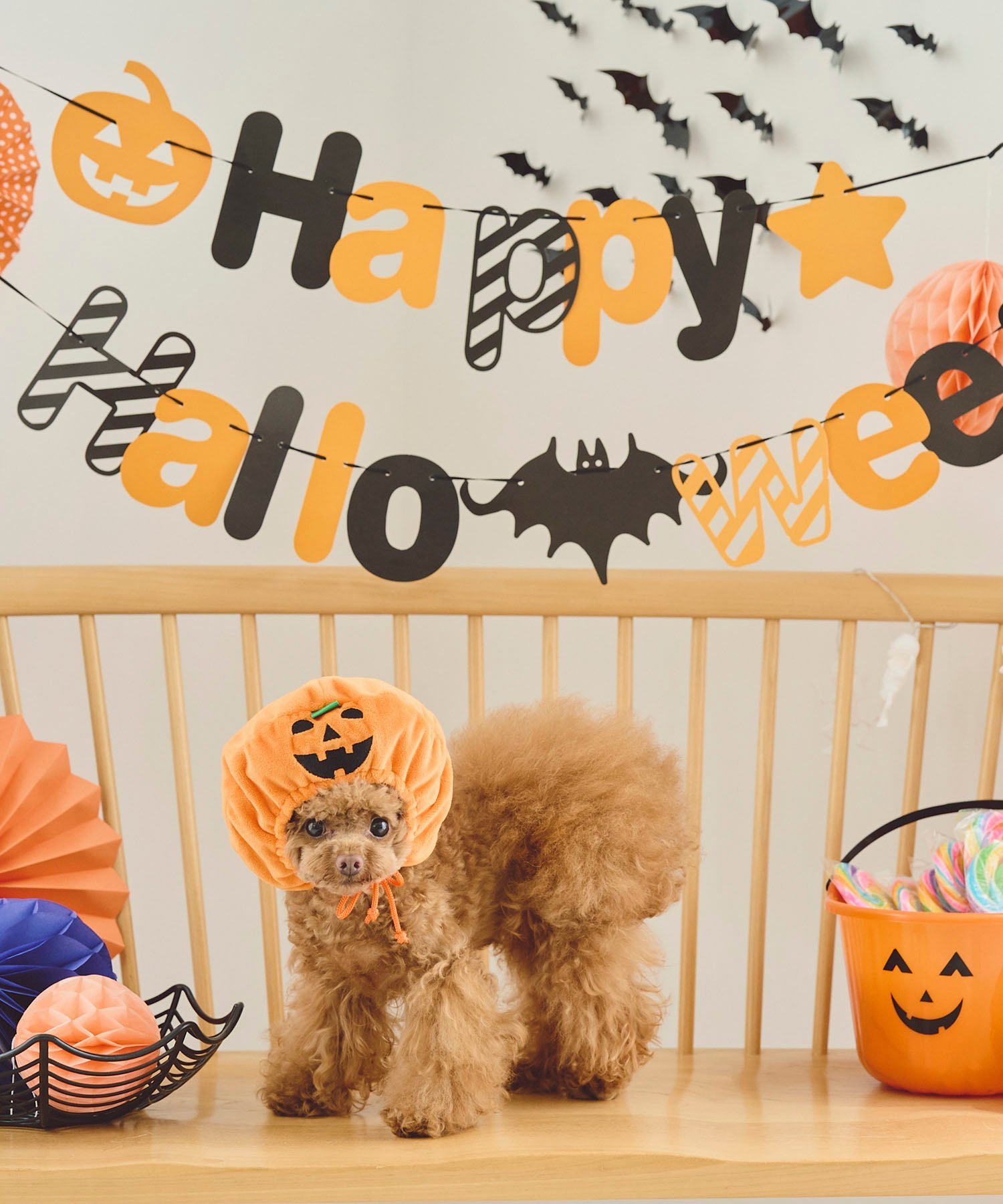 ROPE' PICNIC PASSAGE 【DOG】ハロウィンかぼちゃ ロペピクニック ペット用品 ペットウェア・ペット服 オレンジ stylife-14670245 Rakuten Fashion サンプル画像3
