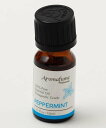 チャイハネ 【チャイハネ】ペパーピュアオイル10ml アミナコレクション インテリア・生活雑貨 ディフューザー・お香・アロマオイル・キャンドル レッド