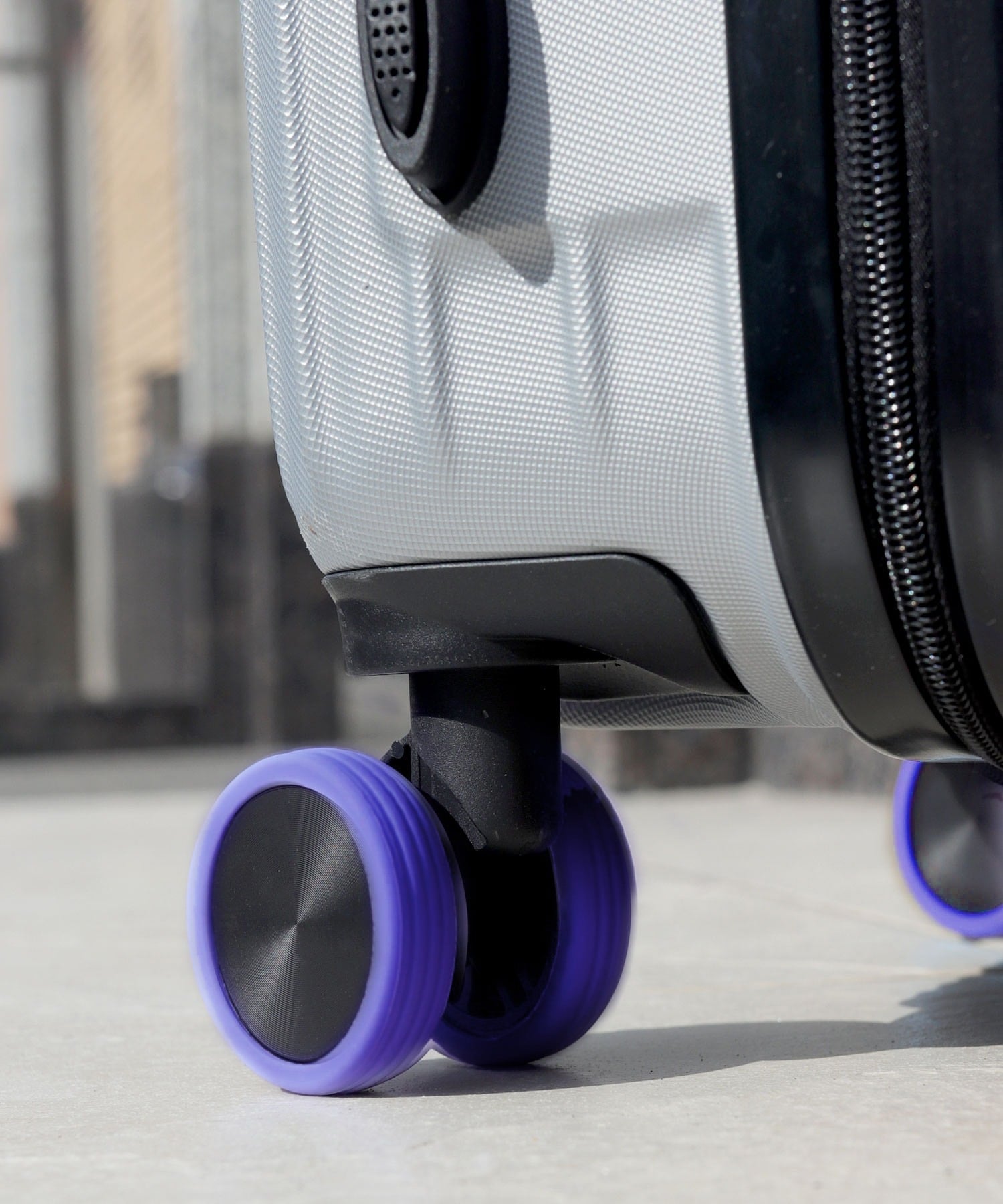 SALE20%OFFflorist ڥɻߡڸۥĥ㥹ꥳݸС 8+4å եꥹ Хå ¾ΥХå ...