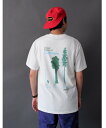 IMPORT ORIGINAL GRAMICCI/O~` CALI TREES TEE Jc[eB[ G2SU-T011 r[o[ gbvX Jbg\[ETVc zCg p[vyz