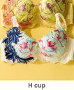 fran de lingerie GRACE ist Rio グレースイストリオ コーディネートブラジャー H65-H85カップ フランデランジェリー インナー...
