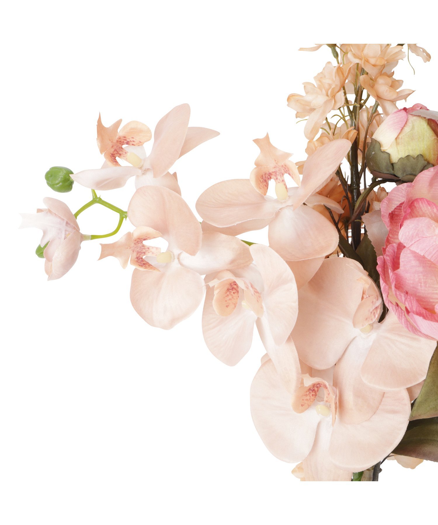 ブーケ ピオニーファレノミックス オレンジ