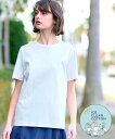 DRESSTERIOR 【接触冷感/抗菌防臭/消臭】アイスクリアコットンTシャツ ドレステリア トップス カットソー・Tシャツ ホワイト レッド ピンク ブラッ...